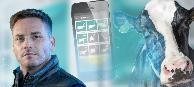 Sert Çeneler Nedir?