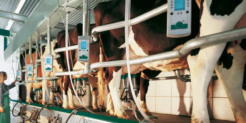 Balıkkılçığı Sağımhane EuroClass 1200