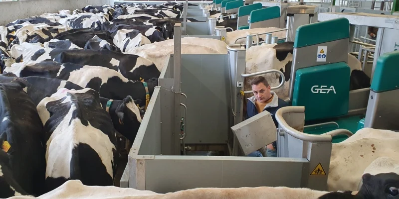 GEA R9600 Süt Sağım Robotu